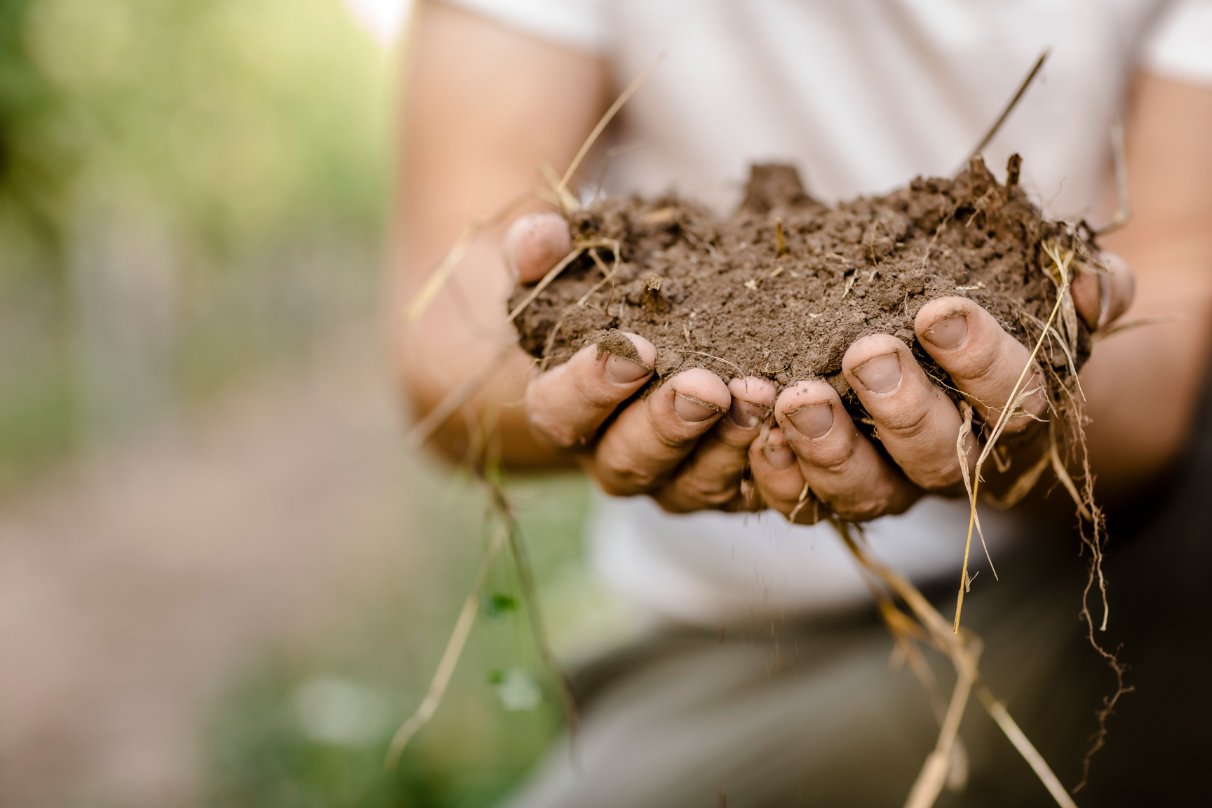 Austria-Soils_WEB